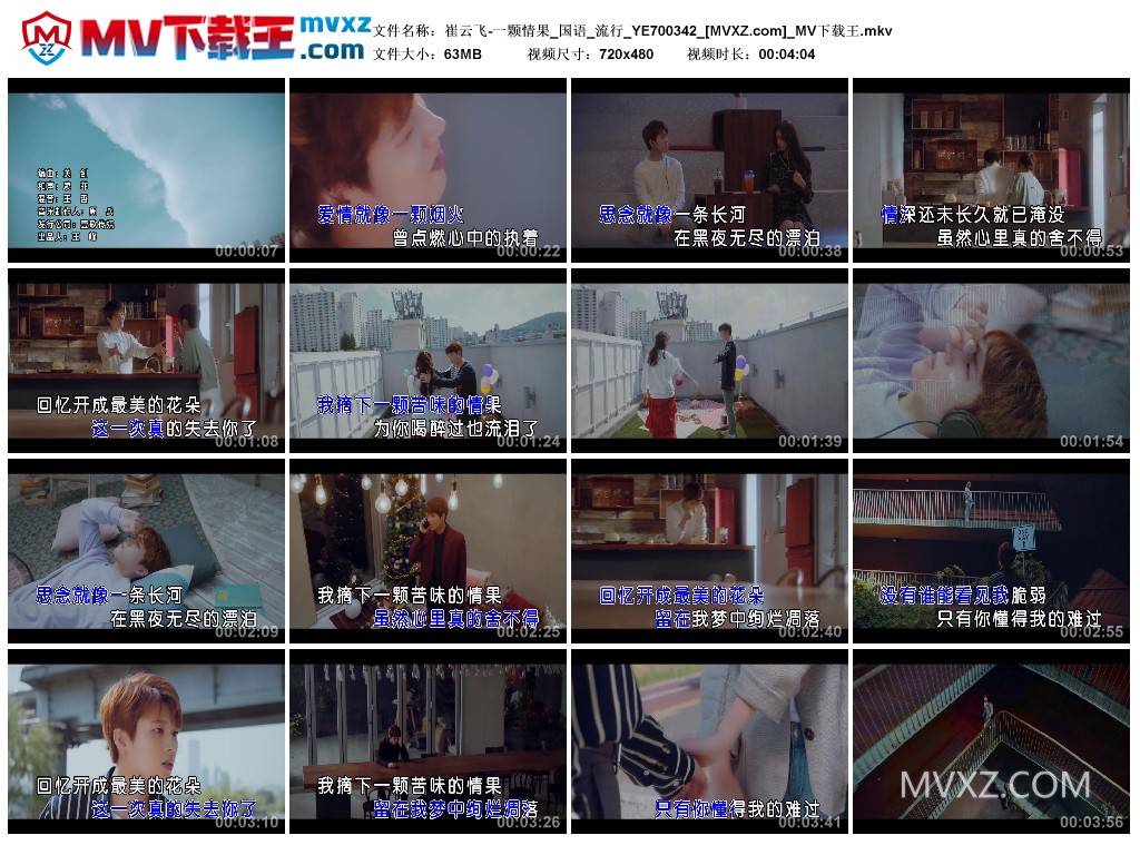 崔云飞-一颗情果_国语_流行_YE700342